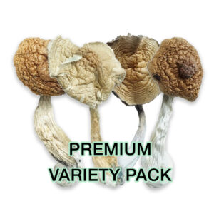 Premium Variety Pack